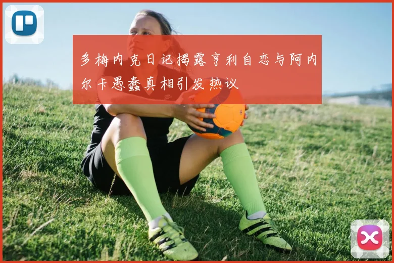 多梅内克日记揭露亨利自恋与阿内尔卡愚蠢真相引发热议